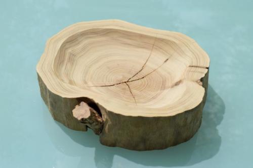 Akácie 28 cm