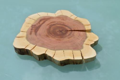 Třešeň 17 cm