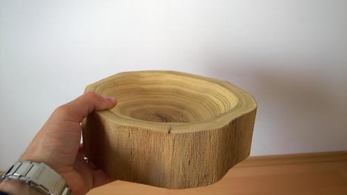 Akácie  25 cm